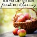 5-Simple-Fall-habits-that-will-keep-your-home-fresh-like-Spring