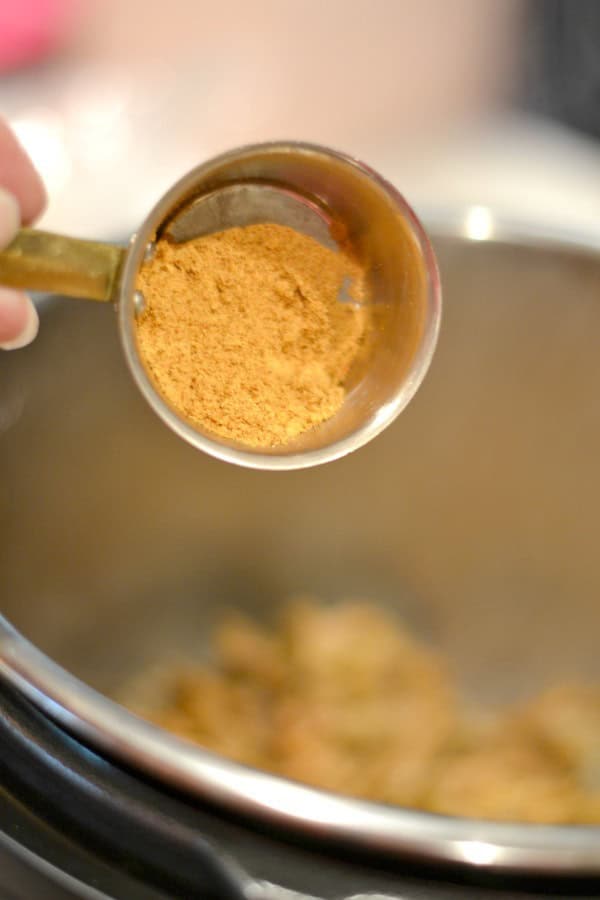 Taco Seasoning being added to the crockpot / instant pot