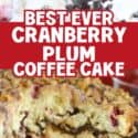 Best Ever Cranberry Plum Coffee Cake Pin