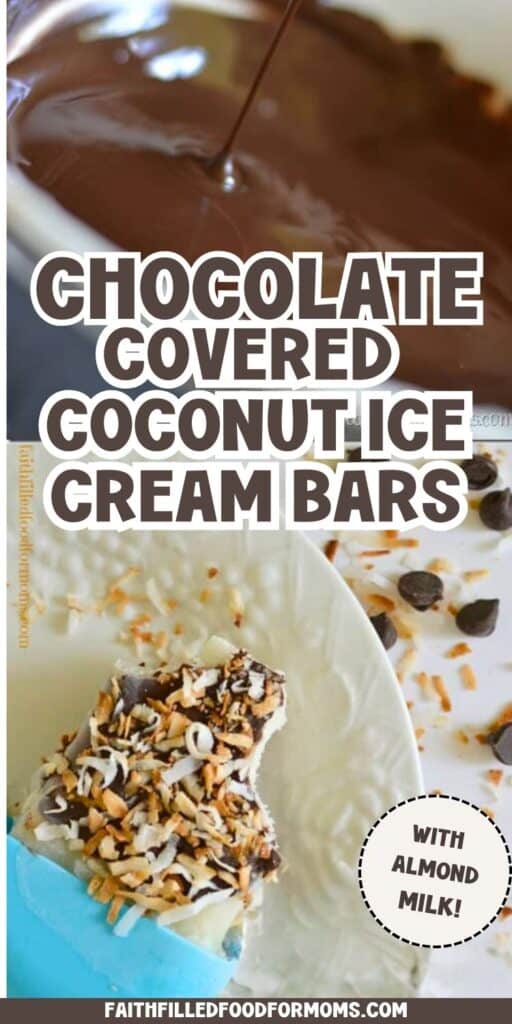 Chocolate Covered Coconut Ice Cream Bars Chocolate Covered Coconut Ice Cream Bars