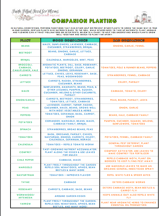 Vegetable Planting Companions Chart