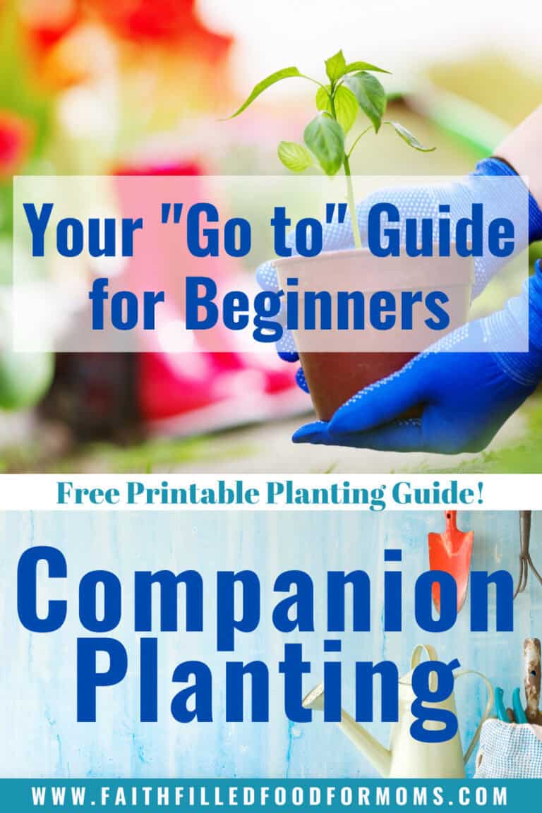 Companion Planting Your go to guide for beginners! Free Printable Planting Guide