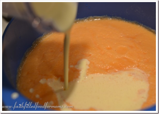homemade cantaloupe ice cream cantaloupe ice cream without ice cream maker