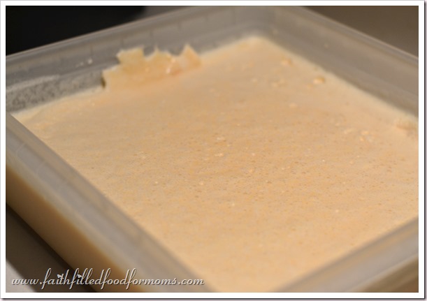 Cantaloupe Ice Cream Recipe Cantaloupe Ice Cream in a plastic rectangle container