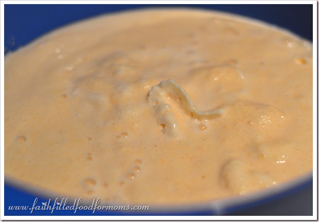 Cantaloupe Ice Cream Recipe Soft Cantaloupe Ice Cream in a blue bowl