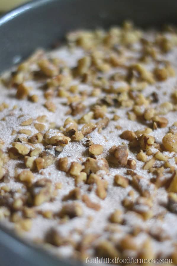 best coffee cake recipe Cranberry Plum Coffee Cake