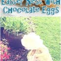 FUN EASTER CANDY NEST WITH BIBLE TEACHING