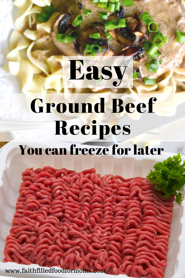 Quick Easy Ground Beef Recipes for the Freezer