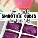 diy smoothie cubes