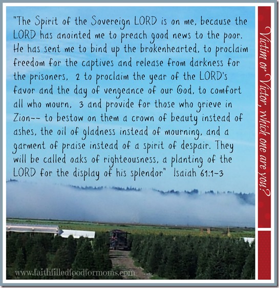 Isaiah 611-3