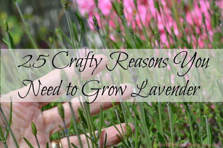 Lavender Crafts Lavender Crafts