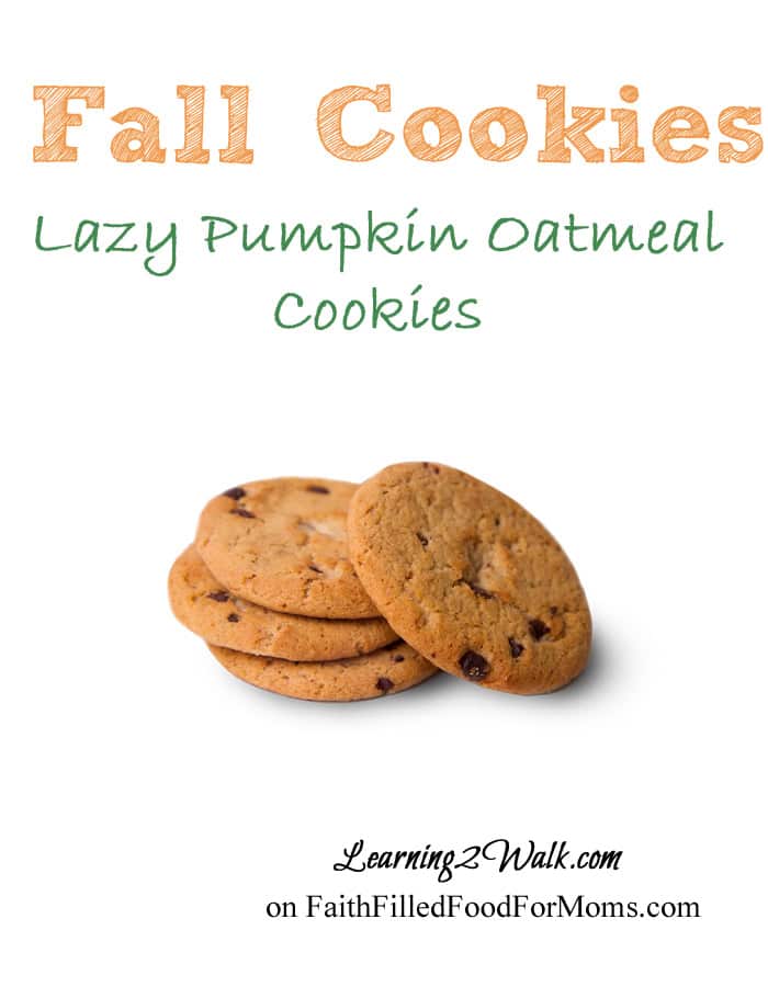 Pumpkin Oatmeal Cookies: Fall Activities for Preschoolers