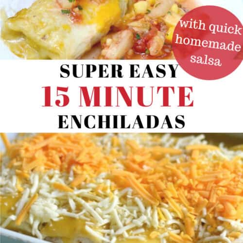 Super easy 15 minute Enchiladas