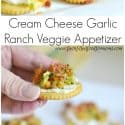 Cream Cheese Garlic Ranch Veggie Appetizers