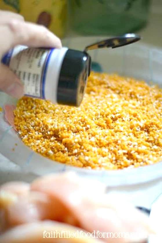 baked bbq chicken breast Sprinkling Garlic Powder into crushed BBQ Chips