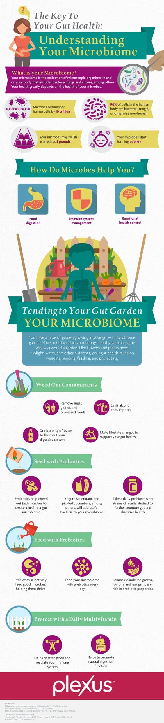 infograph gut health