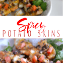 Spicy Potato Skins