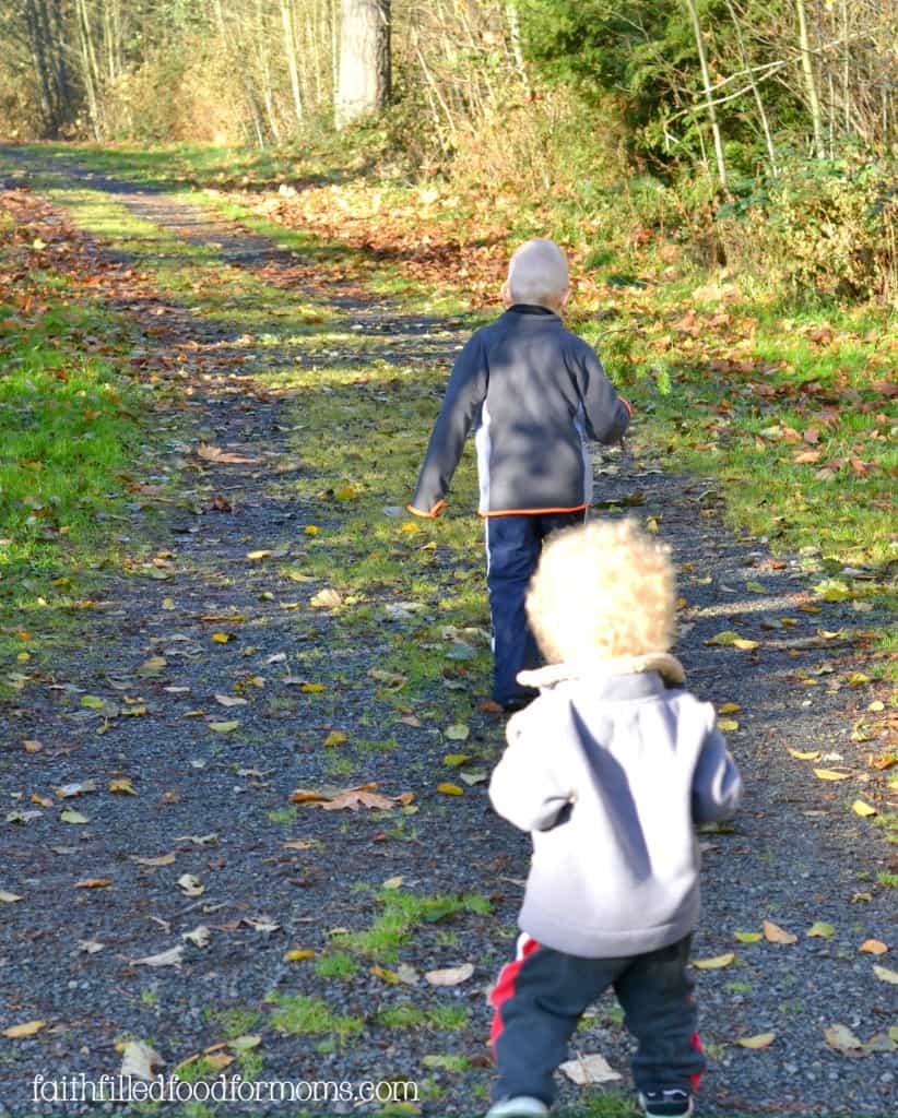 nature walks