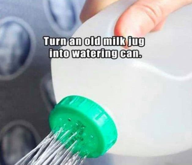 turn-and-old-milk-jug-into-a-watering-can turn-and-old-milk-jug-into-a-watering-can