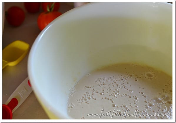 Kaiser roll Yeast Proofing